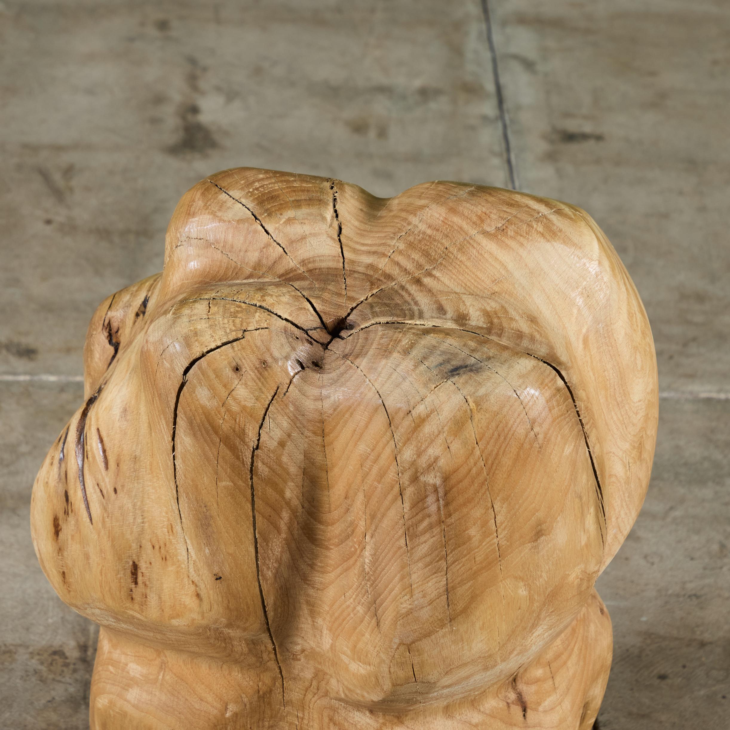 Legno Scultura biomorfa di Wood in vendita