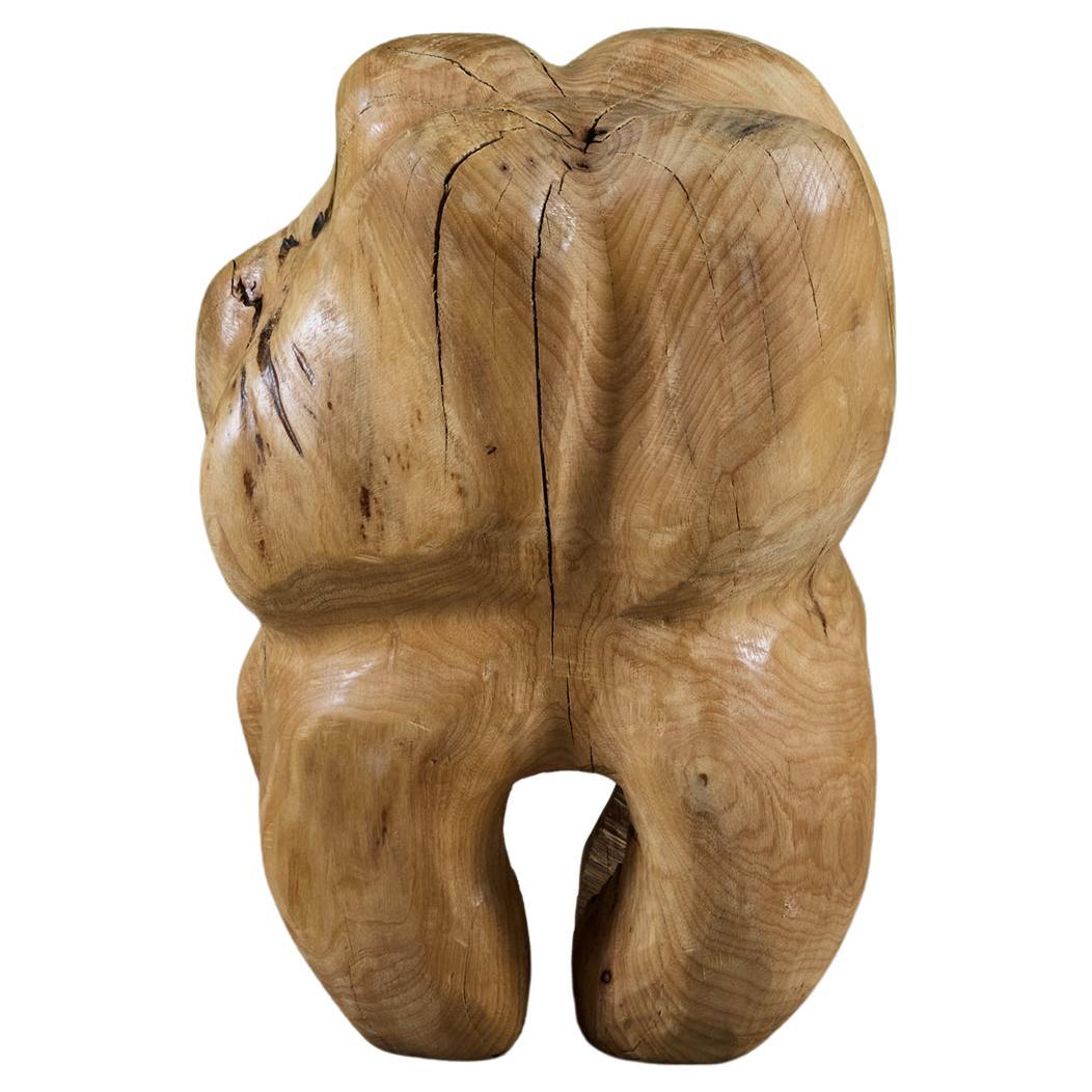 Biomorphic Wood Sculpture