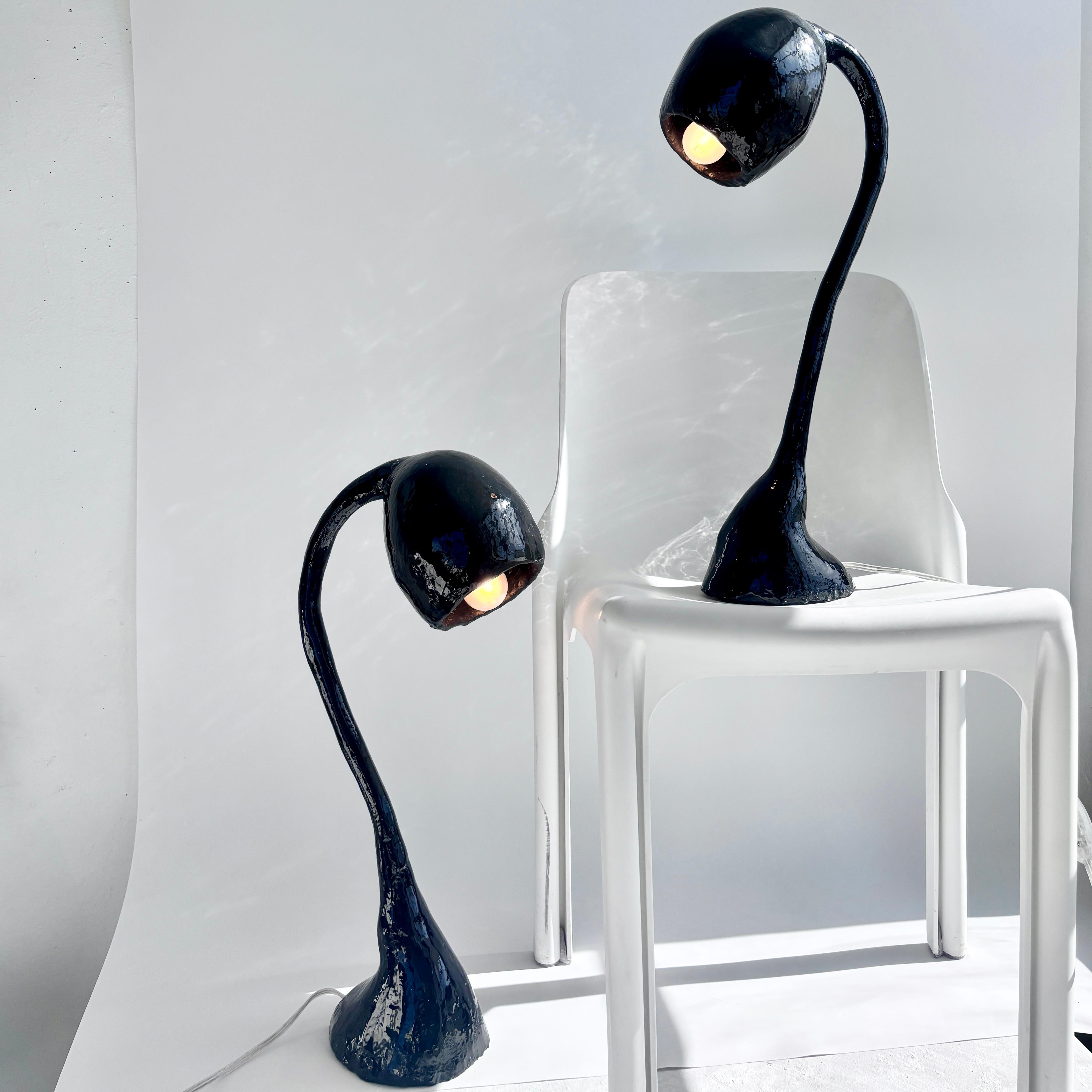 Designed by Studio Chora, 2024. 

Biomorphic: ‘bios' meaning life and 'morphe' meaning form.   

Sold as a pair. The Biomorphic series of organic light sculptures are one-of-a-kind and crafted by hand. These light sculptures have a smooth,