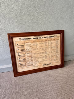 Biostim Pain Management Chart Framed Medical Graphic Wall Art 1980s