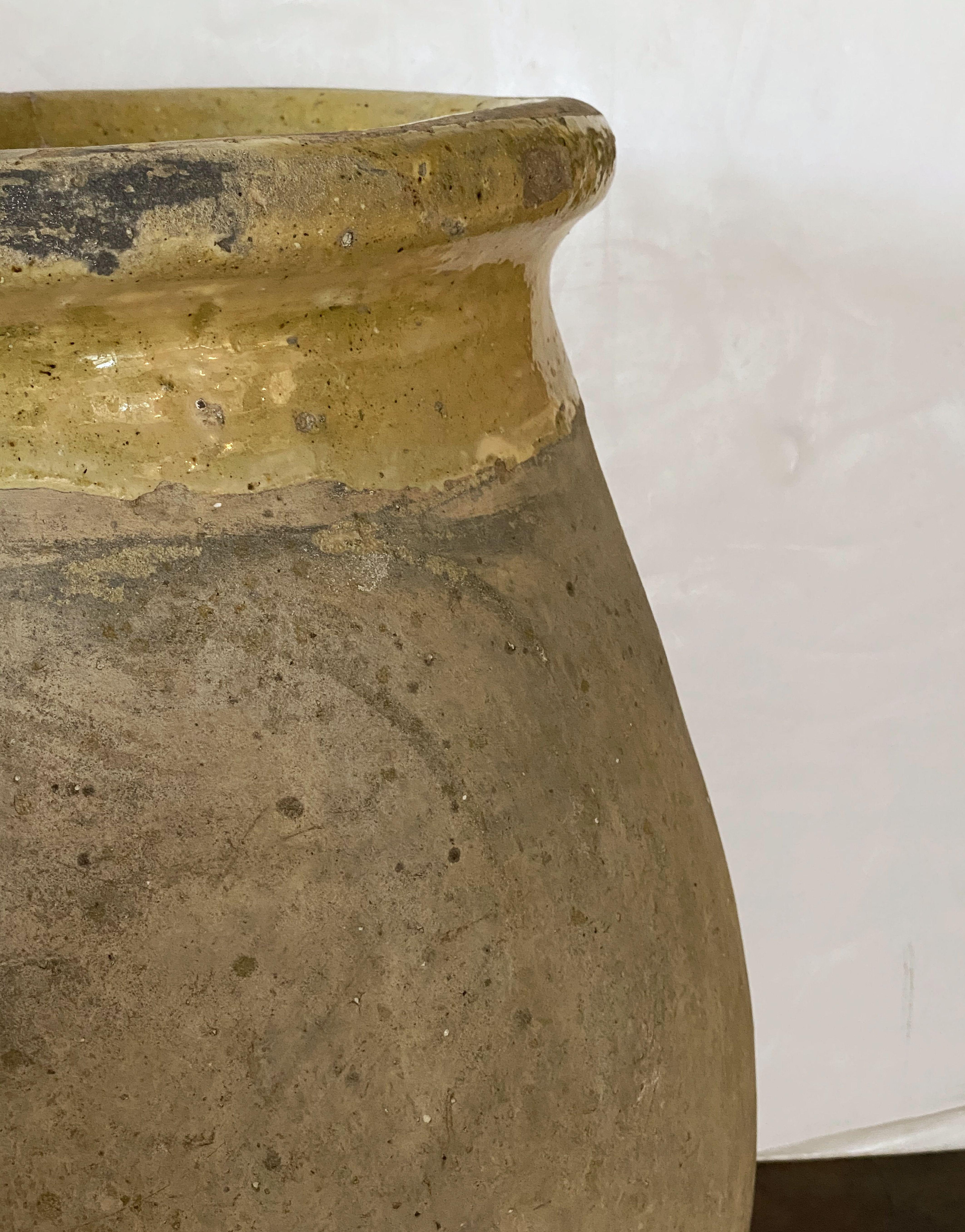 Biot Garden Urn or Oil Jar from France 5