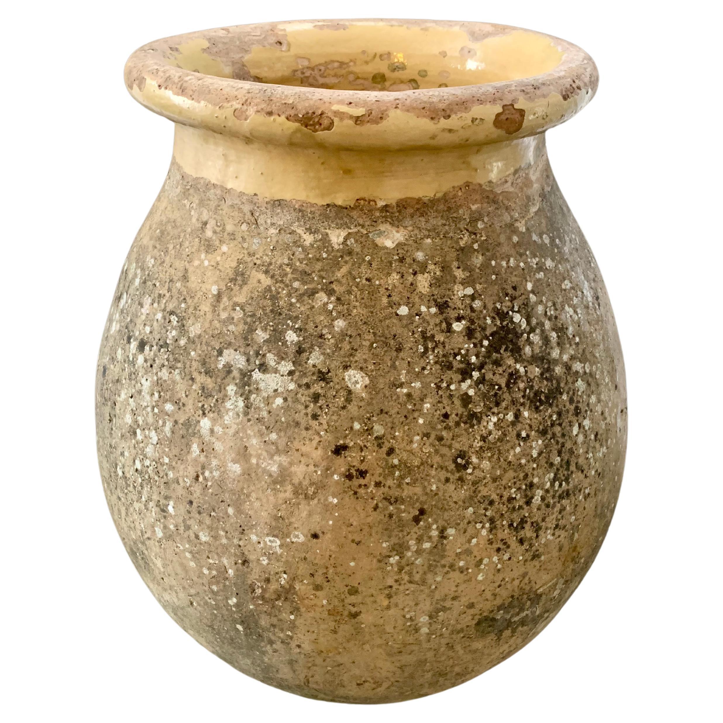 Biot Pot - Jar