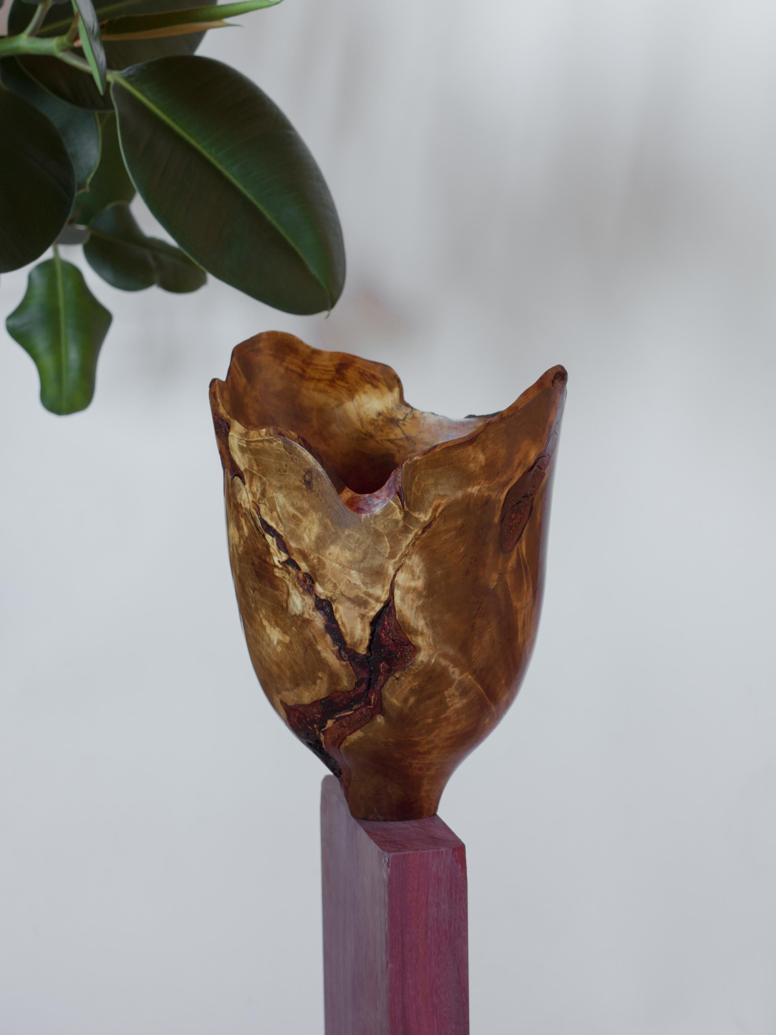 Birch Burl Vase by Vlad Droz In New Condition In Geneve, CH