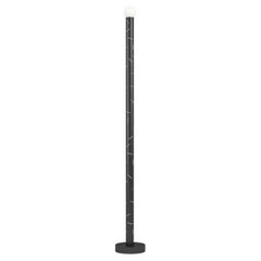 Lampadaire en bouleau d'Atelier Areti