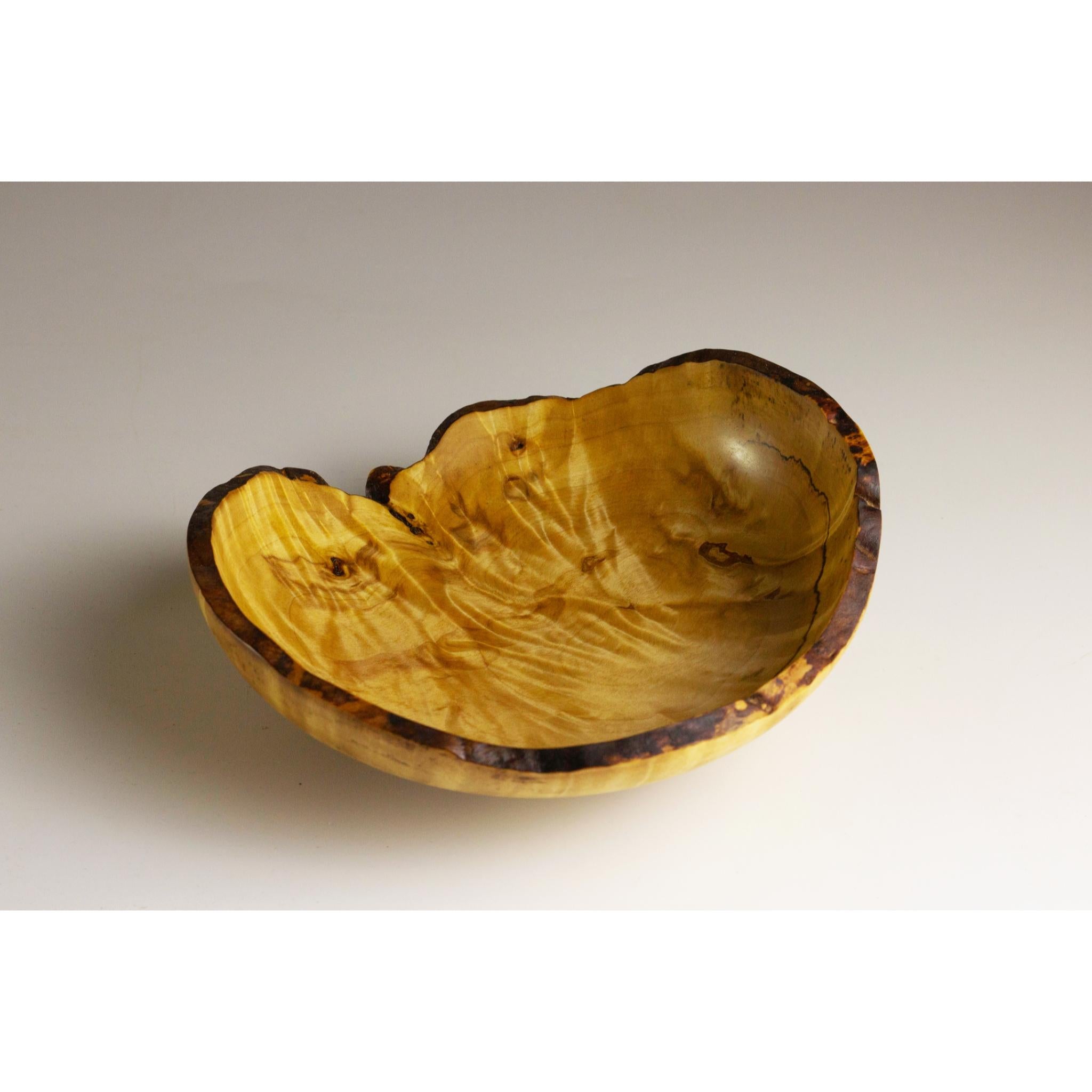 Birch Onion Skin Burl Bowl by Vlad Droz In New Condition For Sale In Geneve, CH