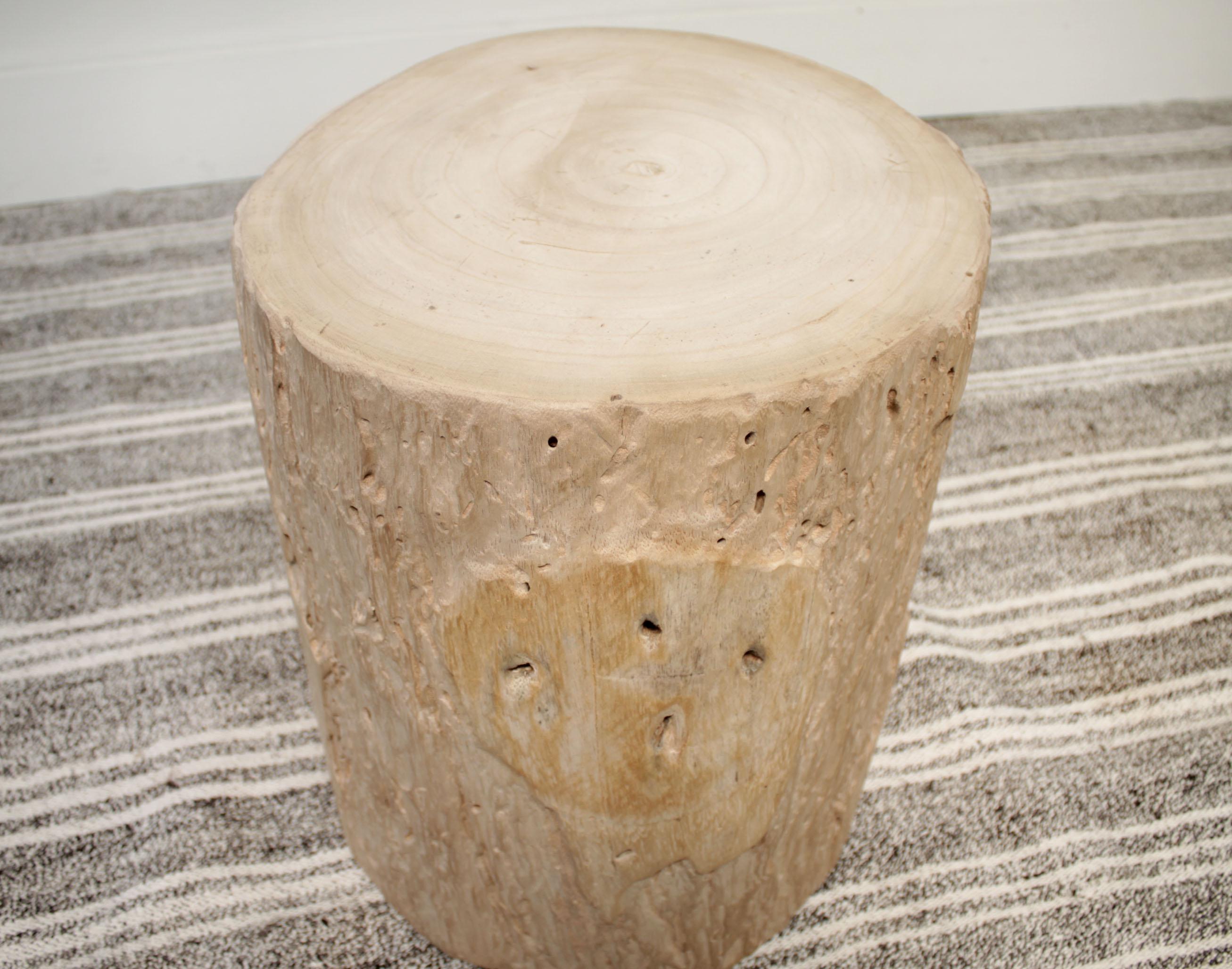 birch tree stump