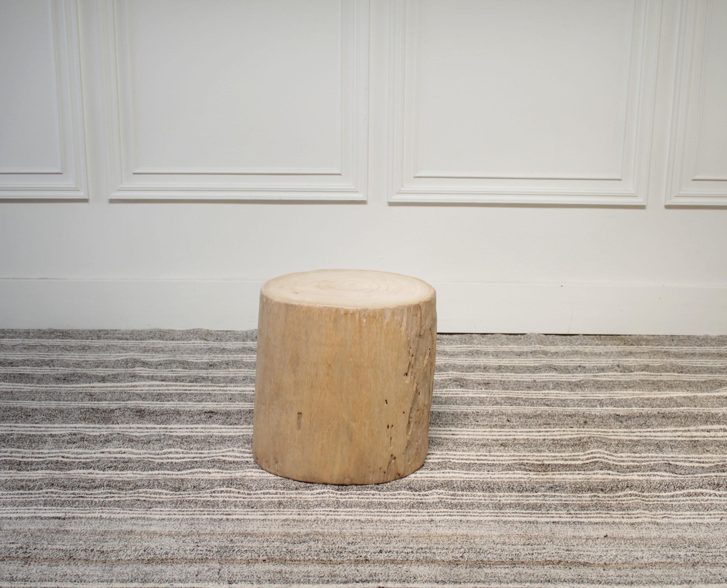 birch tree stumps