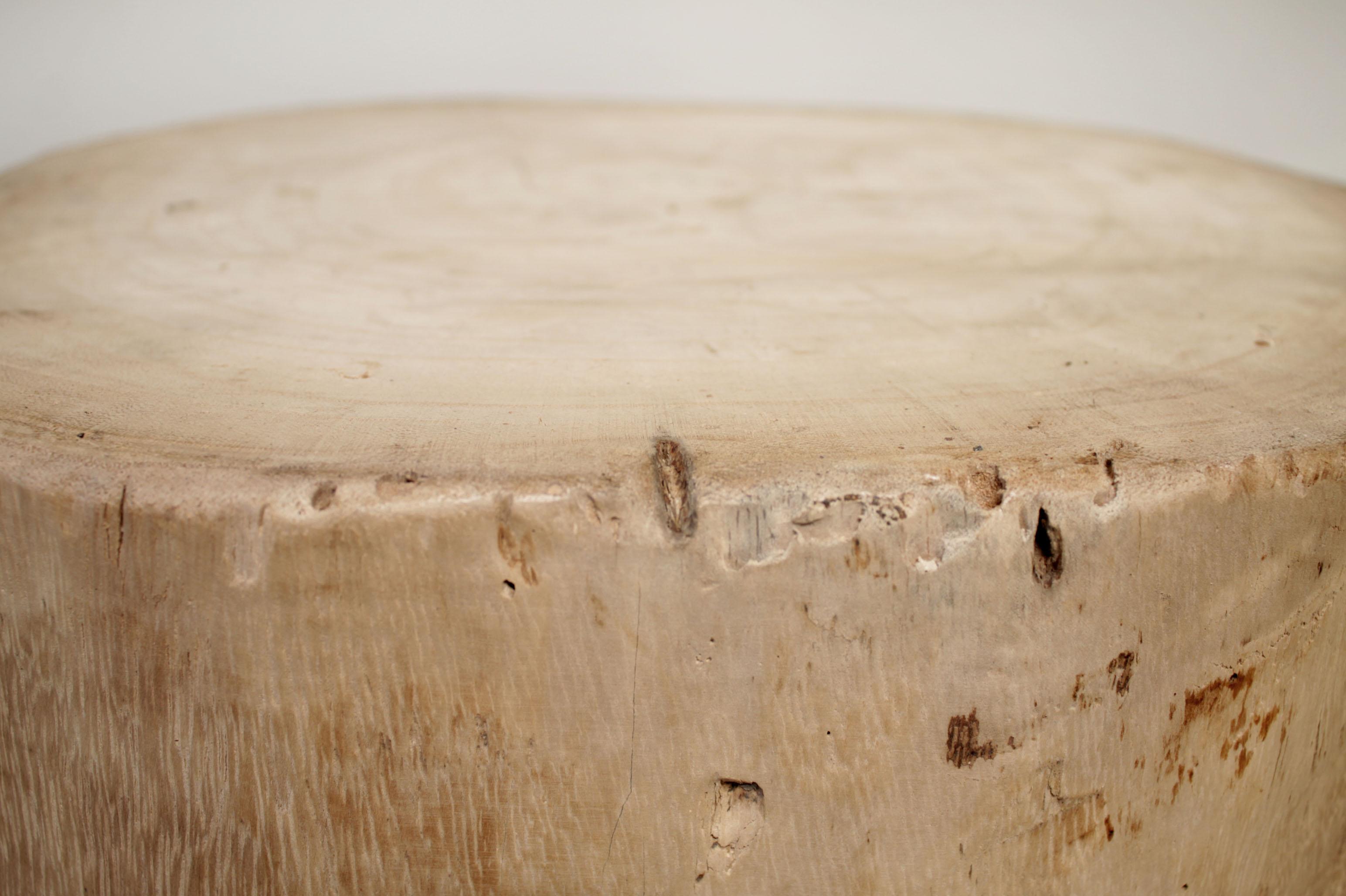 Birch Wood Tree Stump Base for Side Table or Stool 1