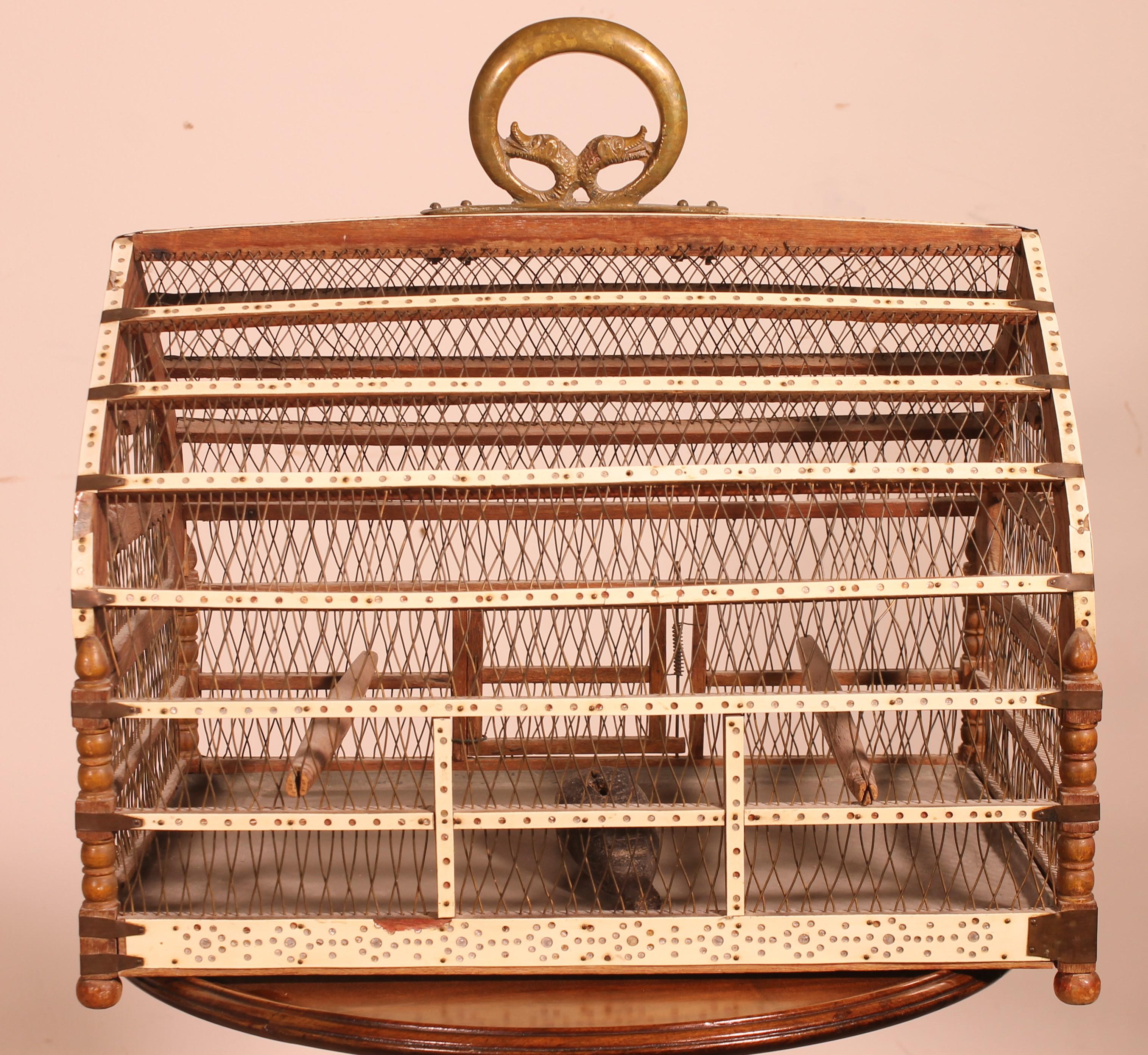 Bird Cage in Bone and Wood, 19 ° Century For Sale 4