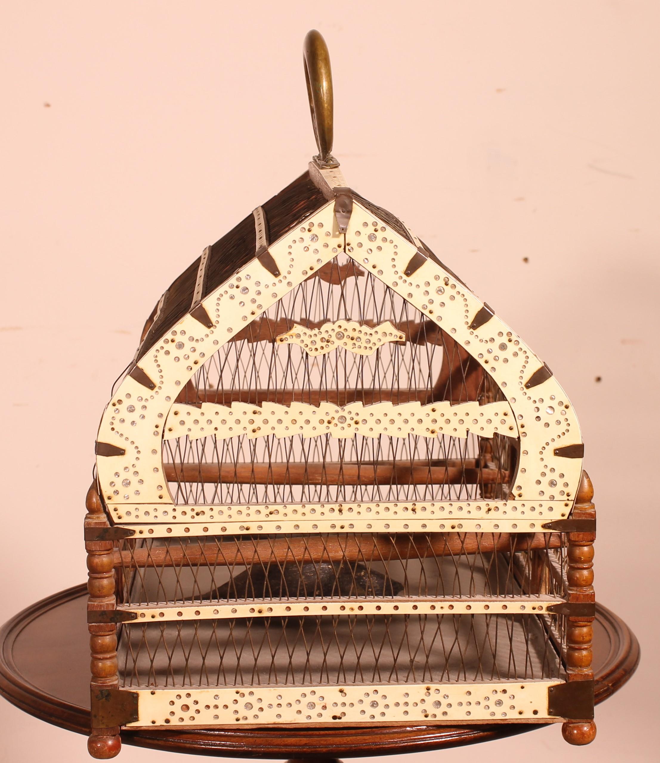 Bird Cage in Bone and Wood, 19 ° Century For Sale 5