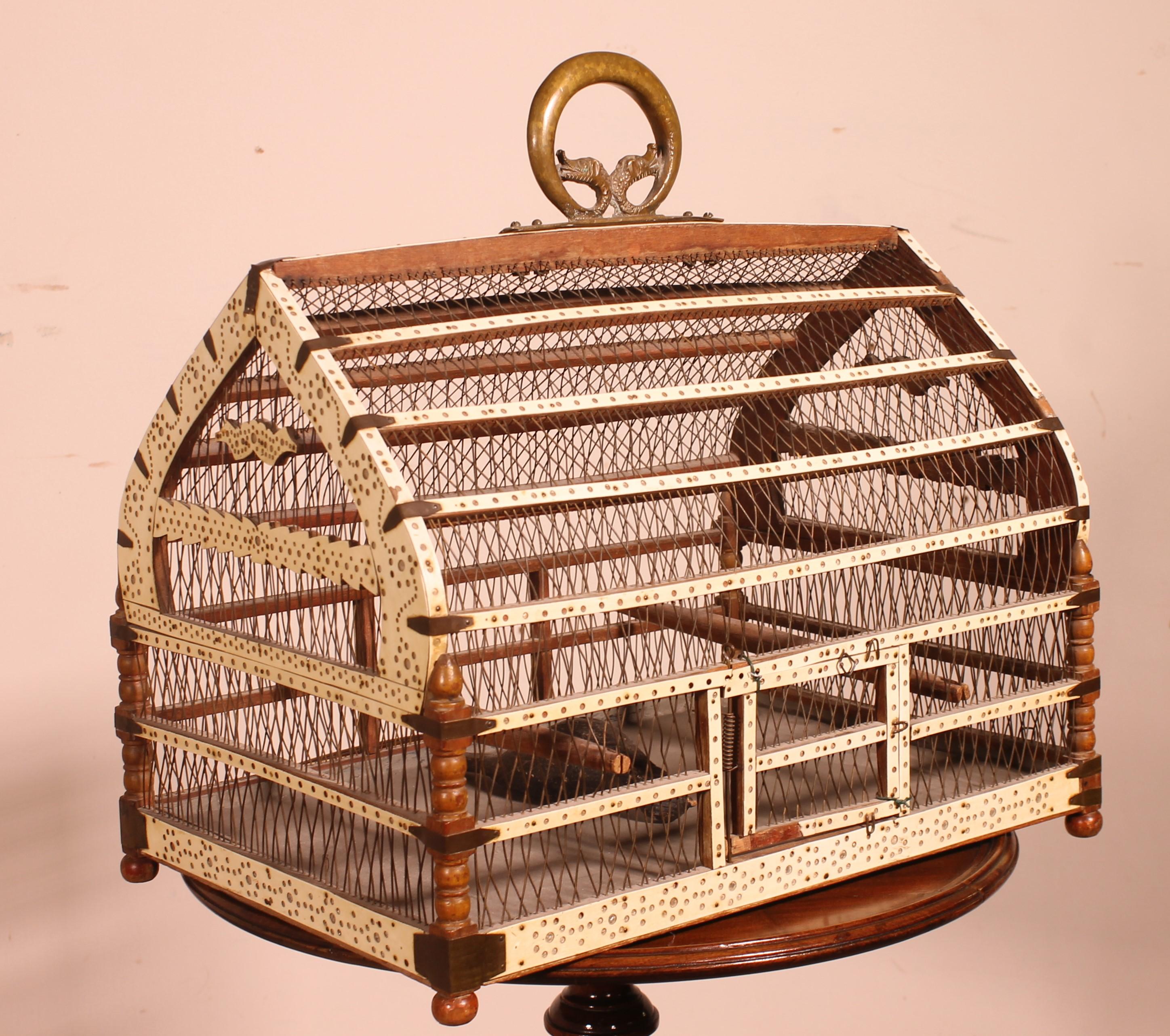 Bird Cage in Bone and Wood, 19 ° Century For Sale 6