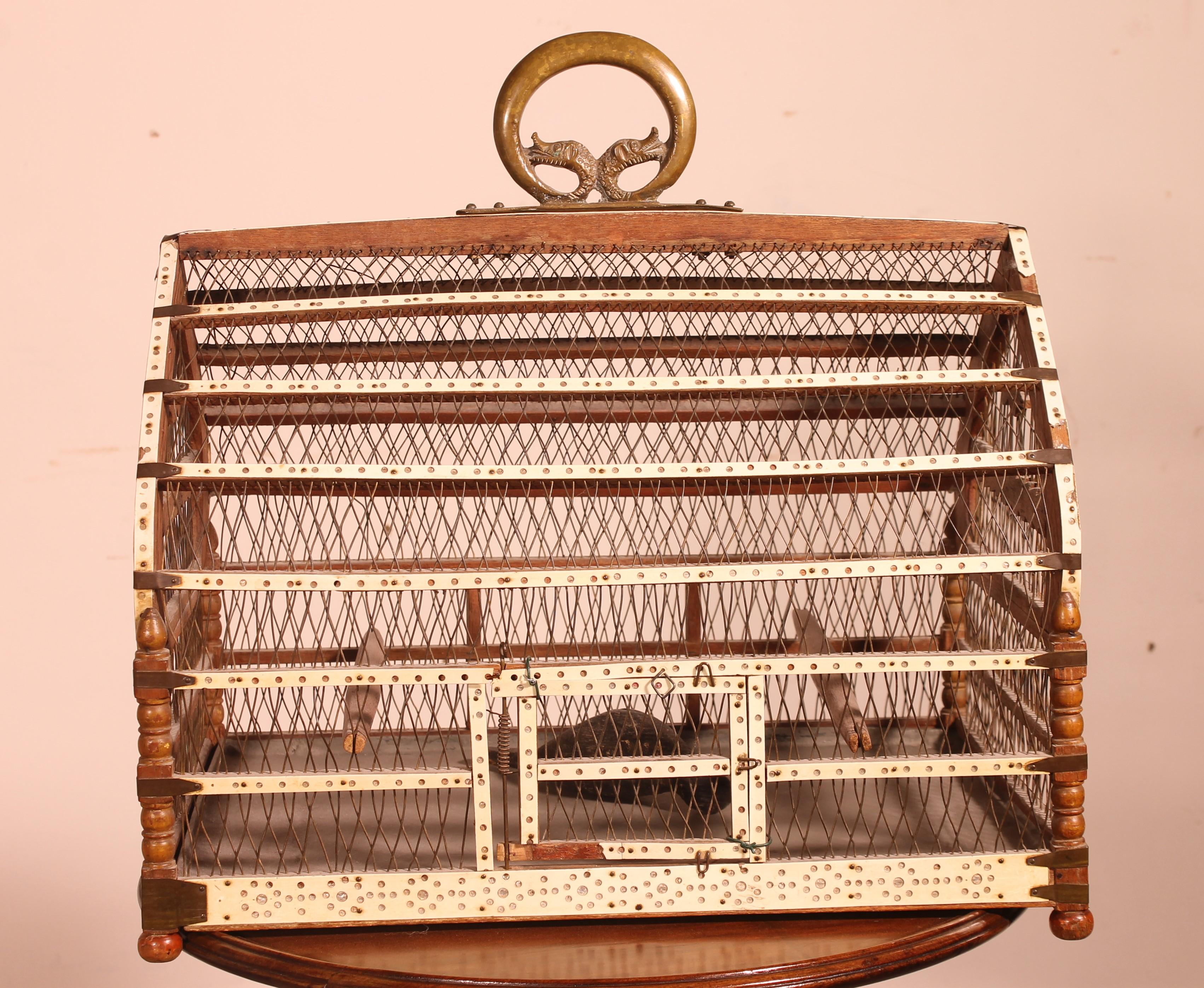 Aesthetic Movement Bird Cage in Bone and Wood, 19 ° Century For Sale