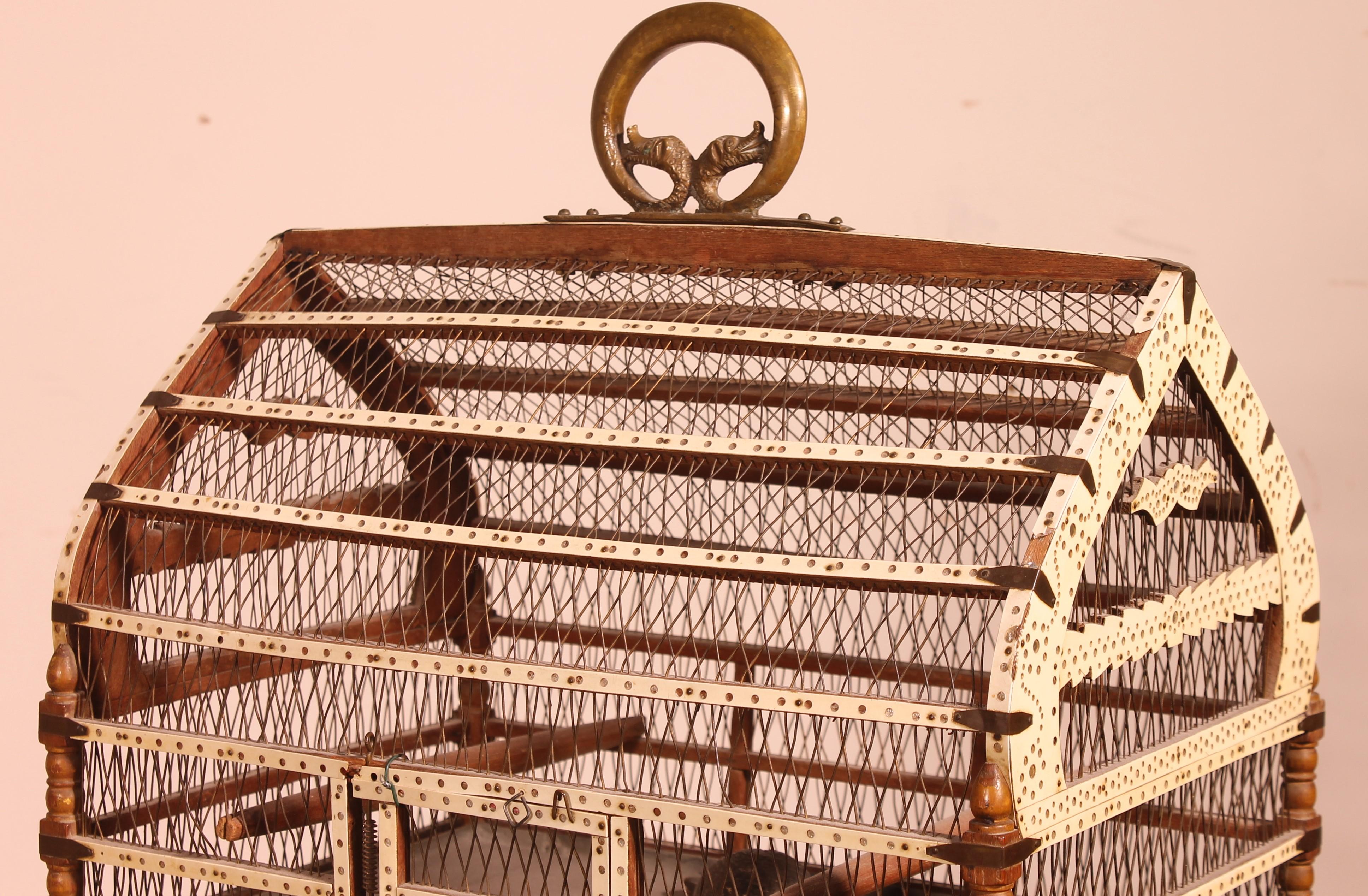 19th Century Bird Cage in Bone and Wood, 19 ° Century For Sale
