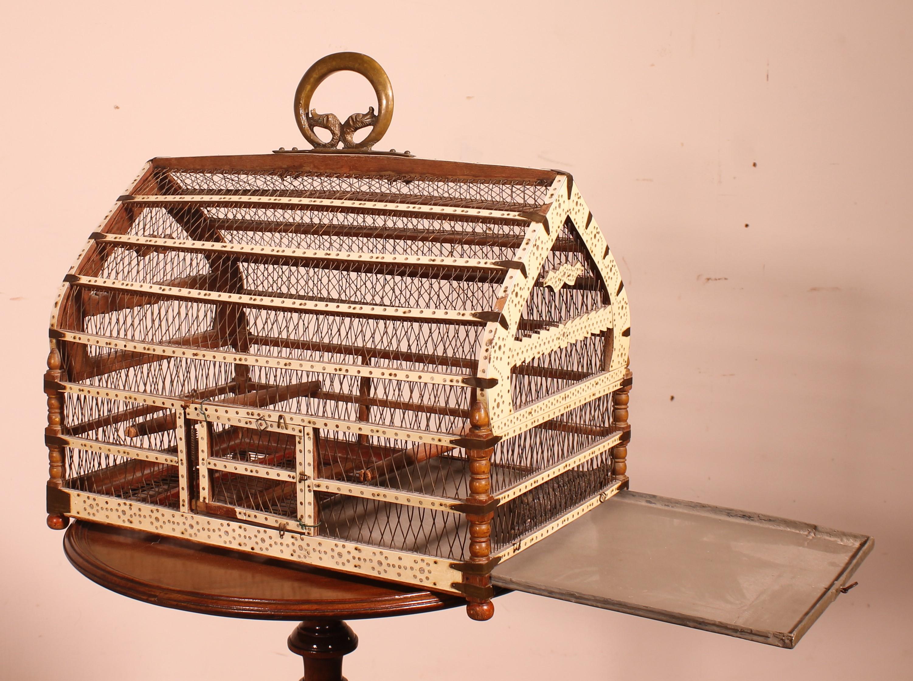 Bird Cage in Bone and Wood, 19 ° Century For Sale 1