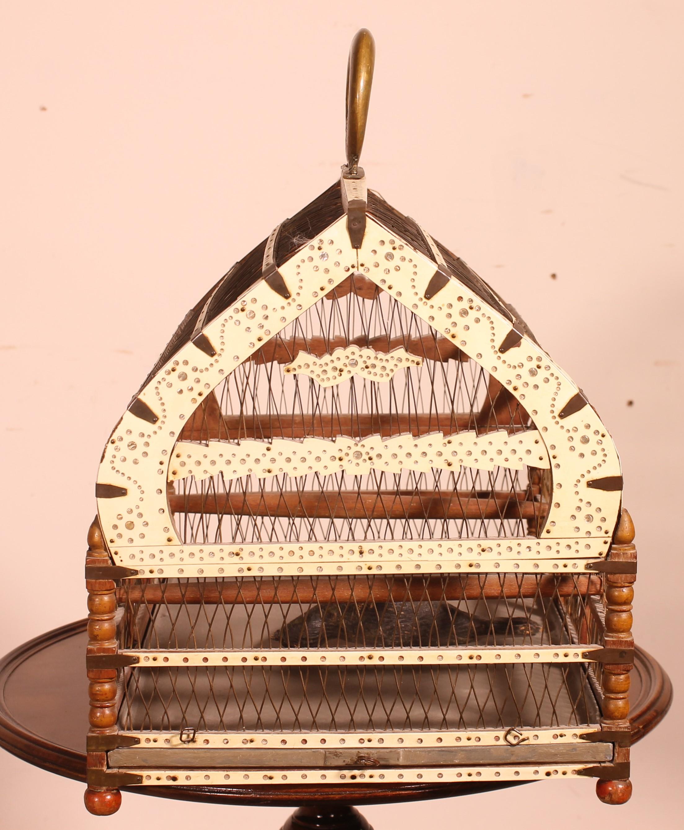 Bird Cage in Bone and Wood, 19 ° Century For Sale 2
