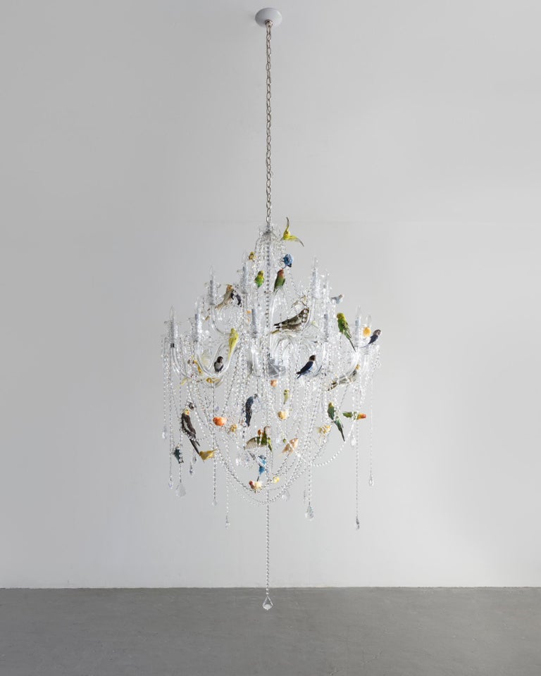 "Bird Chandelier" Crystal Chandelier with Taxidermy Birds by Sebastian