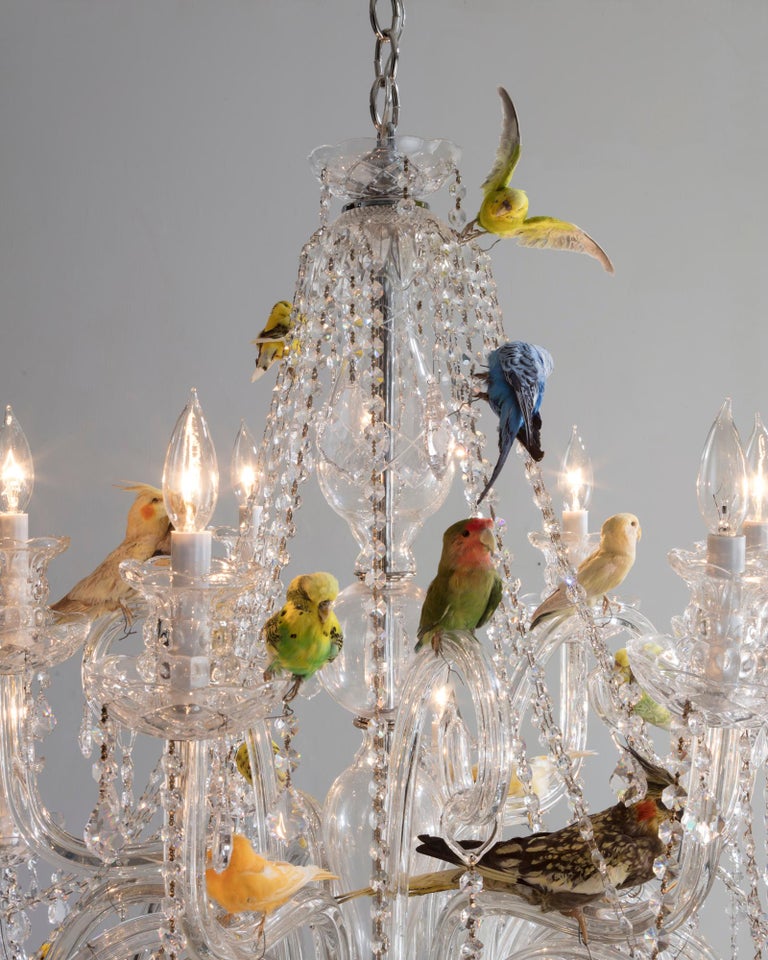 "Bird Chandelier" Crystal Chandelier with Taxidermy Birds by Sebastian