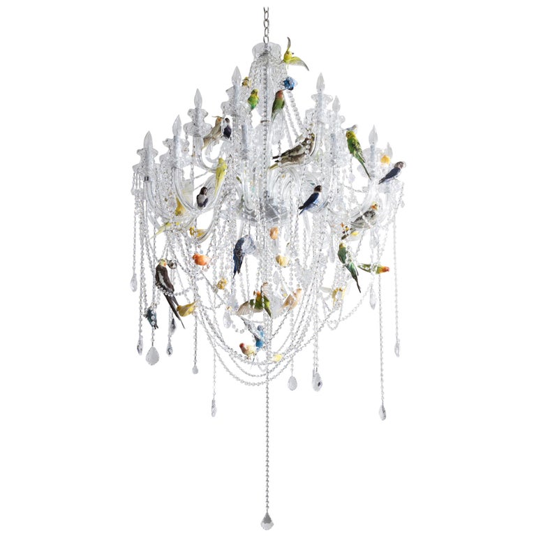"Bird Chandelier" Crystal Chandelier with Taxidermy Birds by Sebastian Errazuriz For Sale at ...