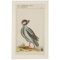 18th Century and Earlier Wall Decorations