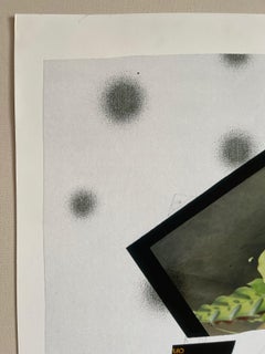 Vogel in einem Baum, abstrakte expressionistische Fotocollagedrucke von Peter Astrom