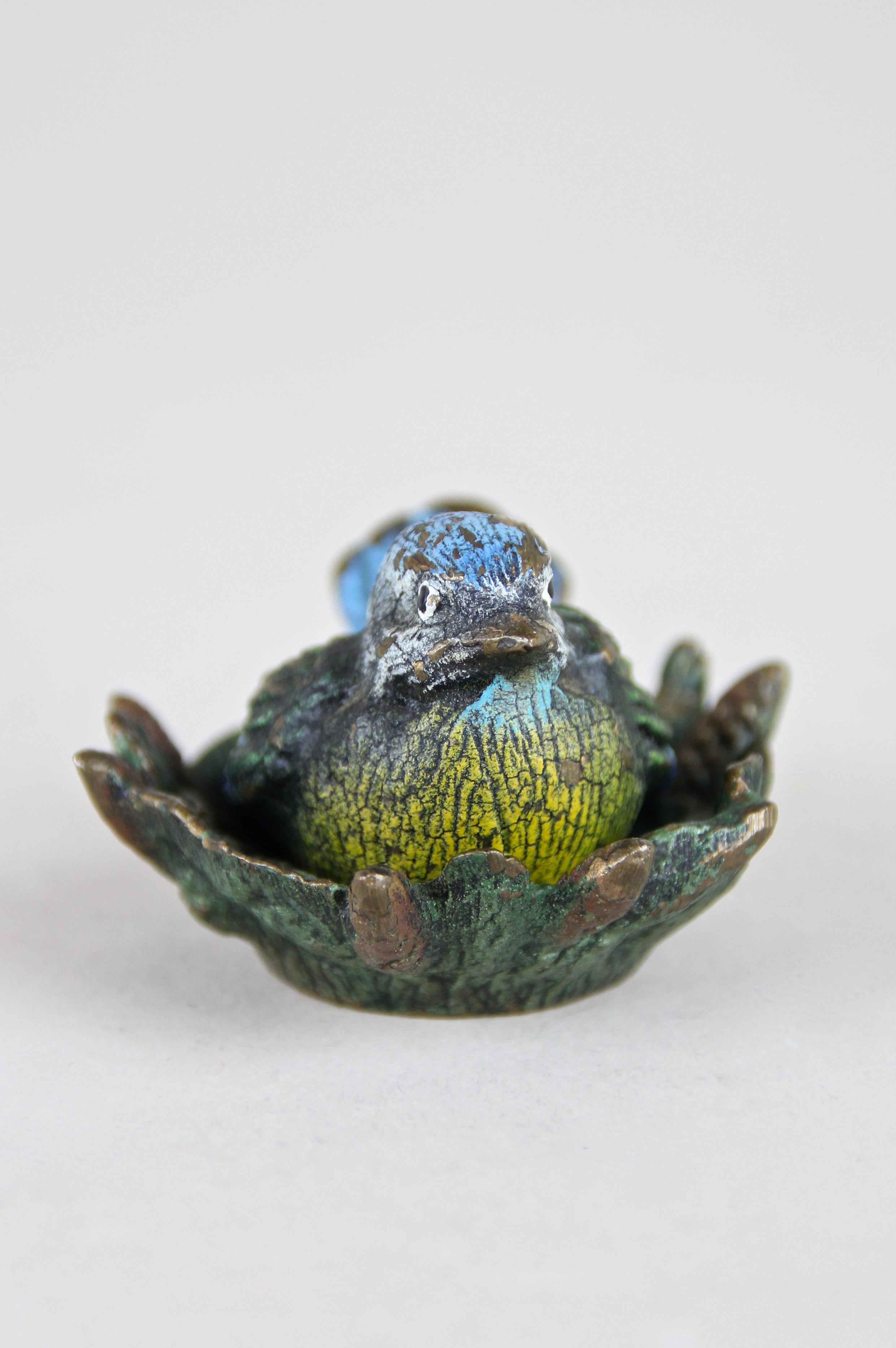 Lovely Vienna bronze bird in nest miniature sculpture from the late 19th century in Austria. Attributed to Franz Xaver Bergmann 1861-1936), one of the leading art casters at the Vienna bronze manufactory, this beautiful processed detailed small bird