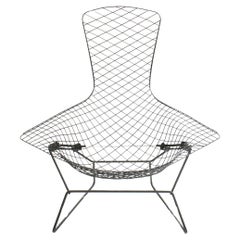 Bird Lounge Chair by Harry Bertoia for Knoll International, 1970s