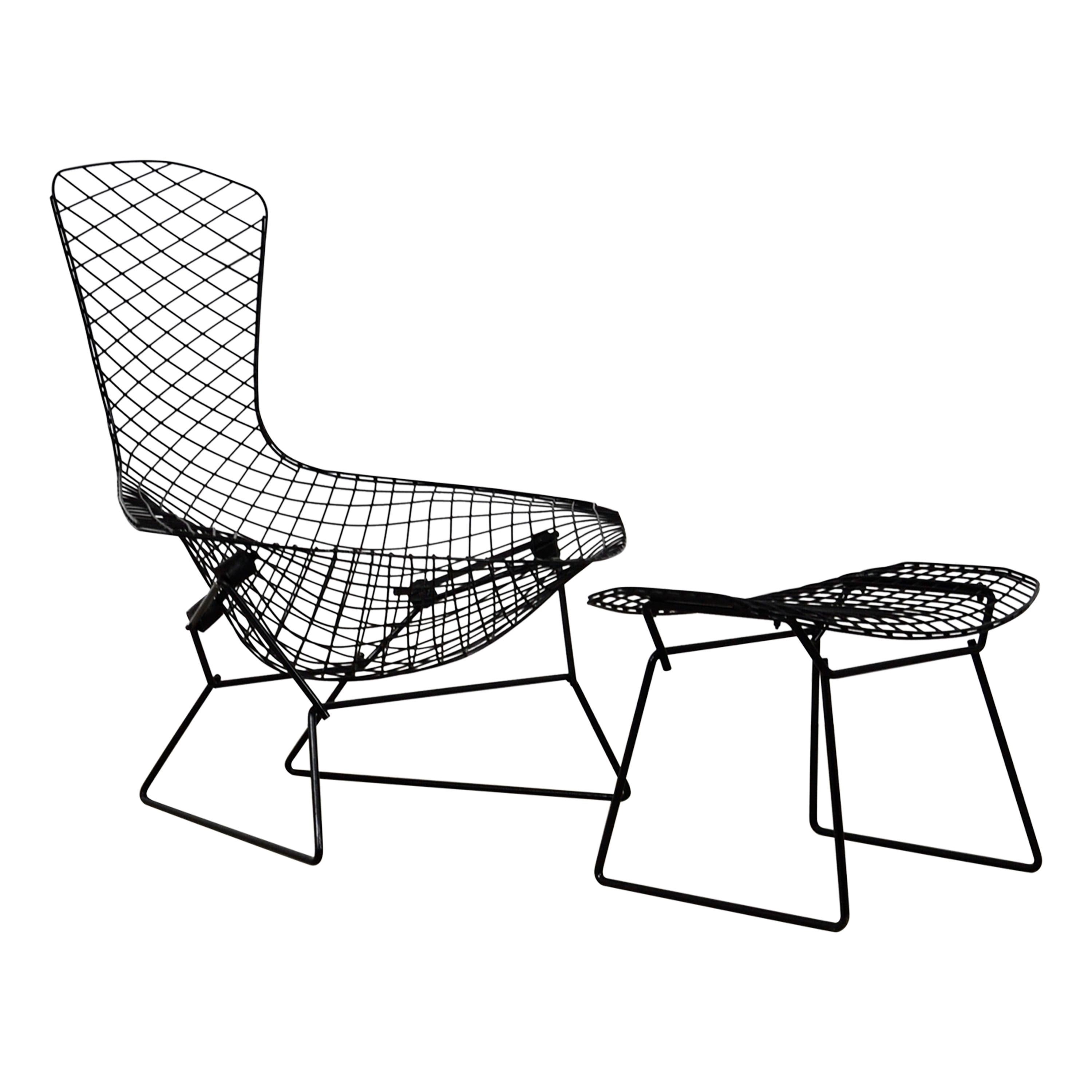 Bird Lounge Chair by Harry Bertoia for Knoll, 1960