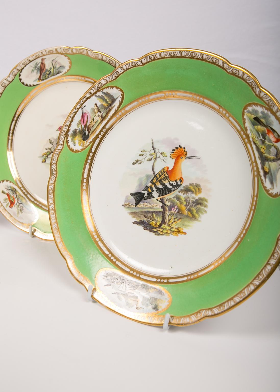 Regency Bird Lover's Set Antique Porcelain Dishes Hand Painted Apple Green Borders