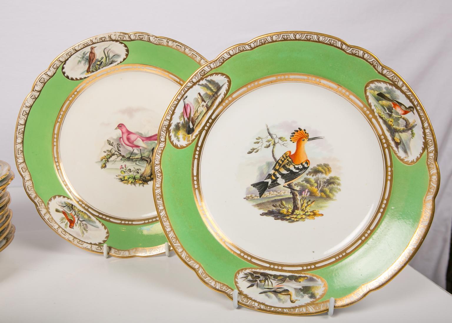 English Bird Lover's Set Antique Porcelain Dishes Hand Painted Apple Green Borders