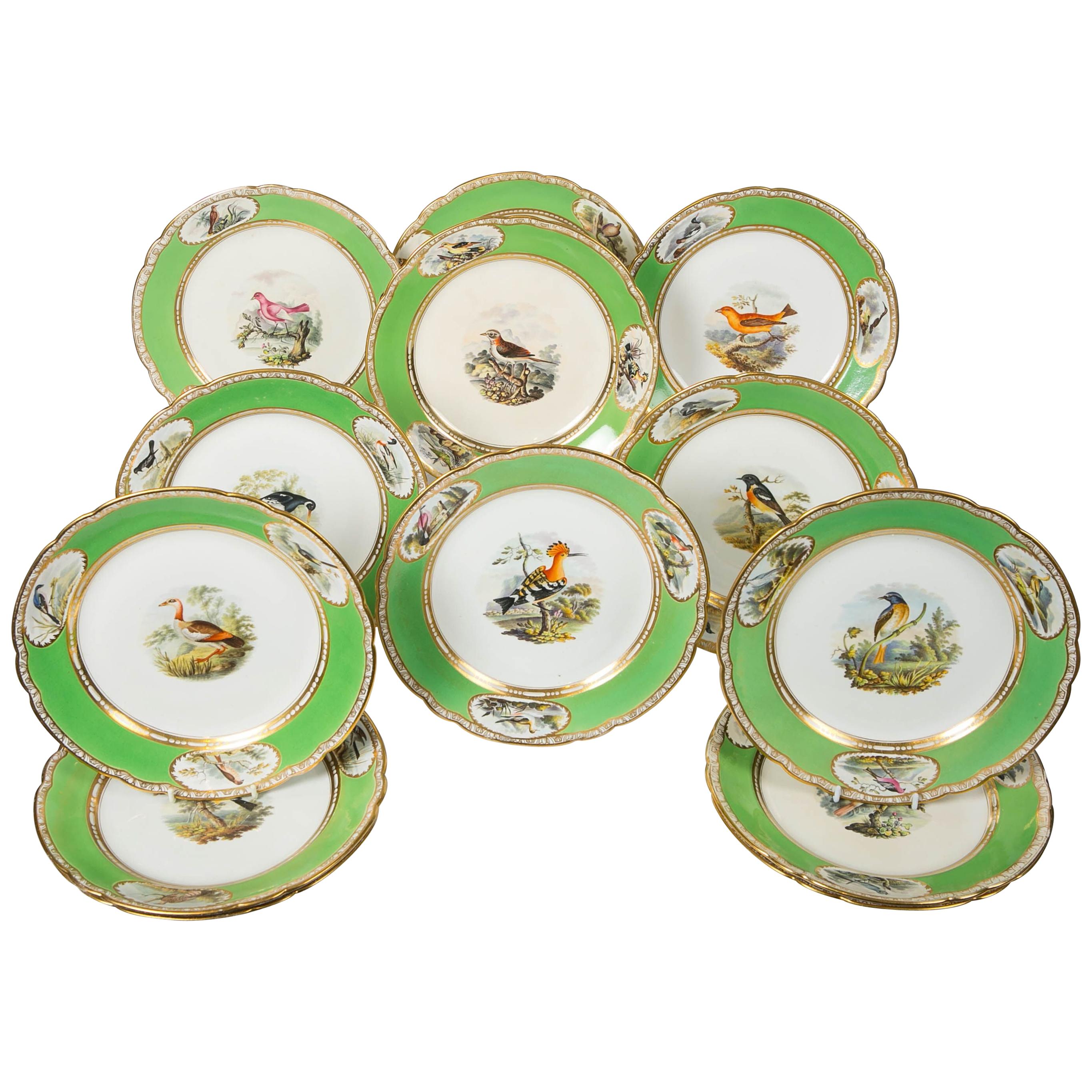 Bird Lover's Set Antique Porcelain Dishes Hand Painted Apple Green Borders