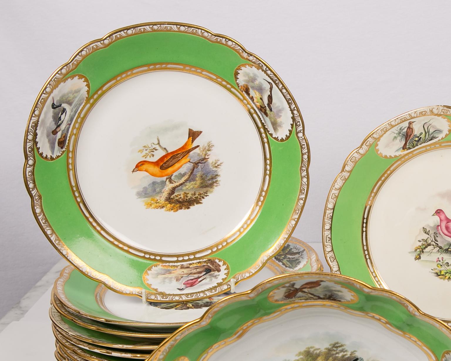 A bird lover's set of antique Spode dishes with hand painted birds and apple green borders. What makes these dishes so special is the beautiful hand-painted birds, combined with the lively English apple green borders which enhance the painting of