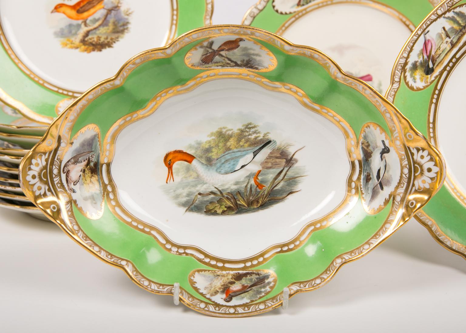 English Bird Lover's Set Antique Porcelain Dishes Hand Painted Birds Apple Green Borders