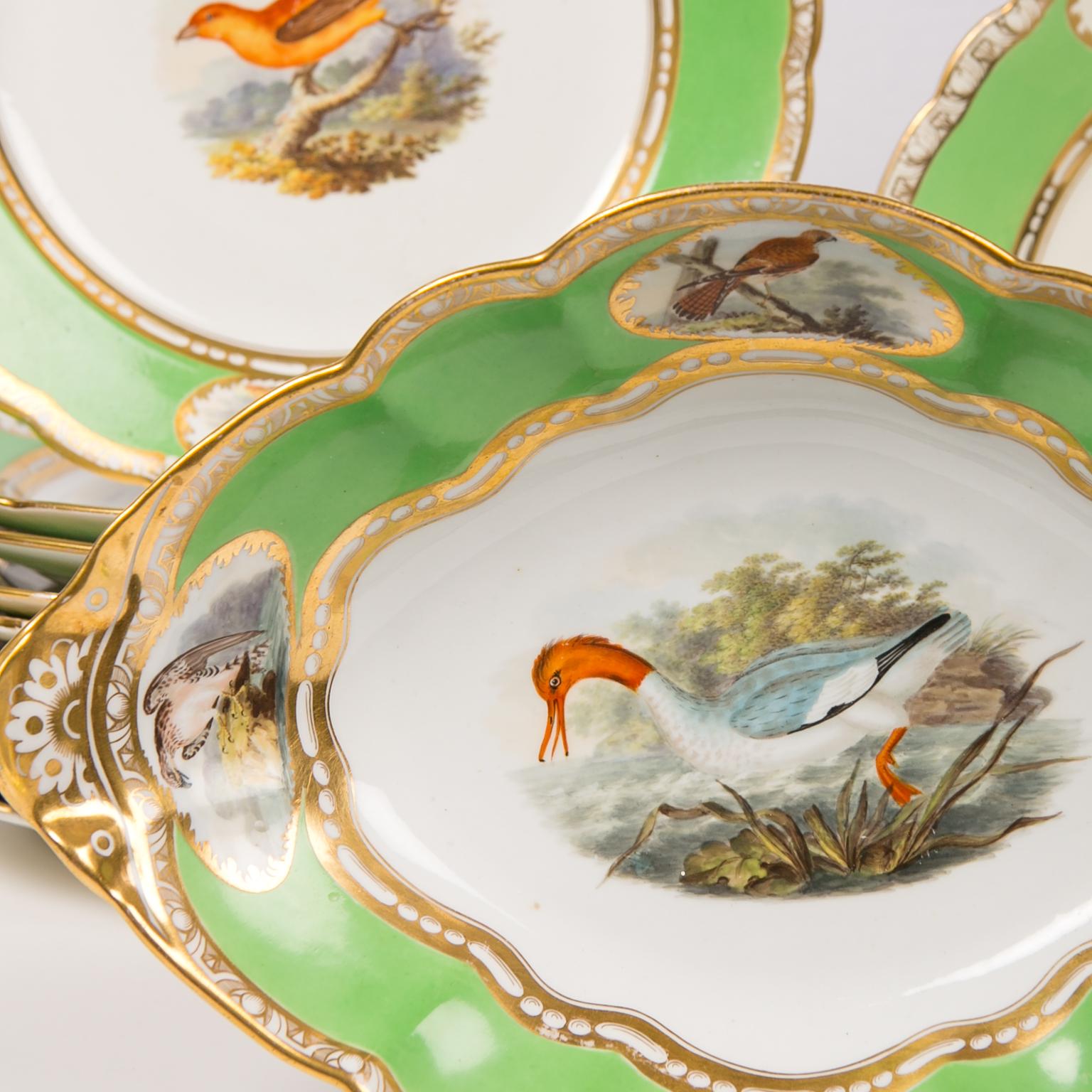 Hand-Painted Bird Lover's Set Antique Porcelain Dishes Hand Painted Birds Apple Green Borders