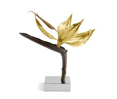 Bird of Paradise Sculpture Limited Edition in Brass and Steel