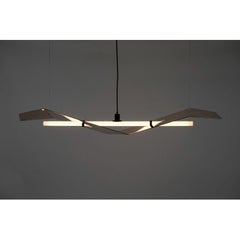 Bird of Prey Pendant Light by Atelier Haute Cuisine