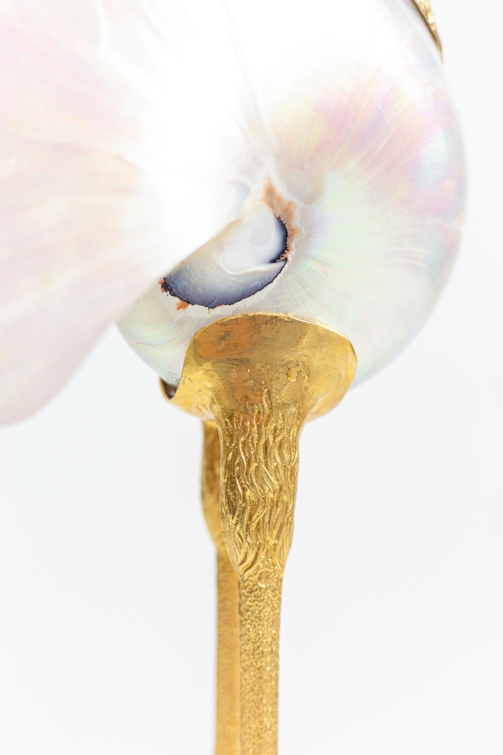 “Bird” Sculpture in Natural Shell and Gilt Brass, 1970s 6