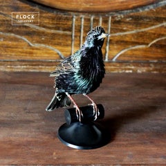 Bird Taxidermy Colorful European Starling ‘Sturnus vulgaris’ Black Perch