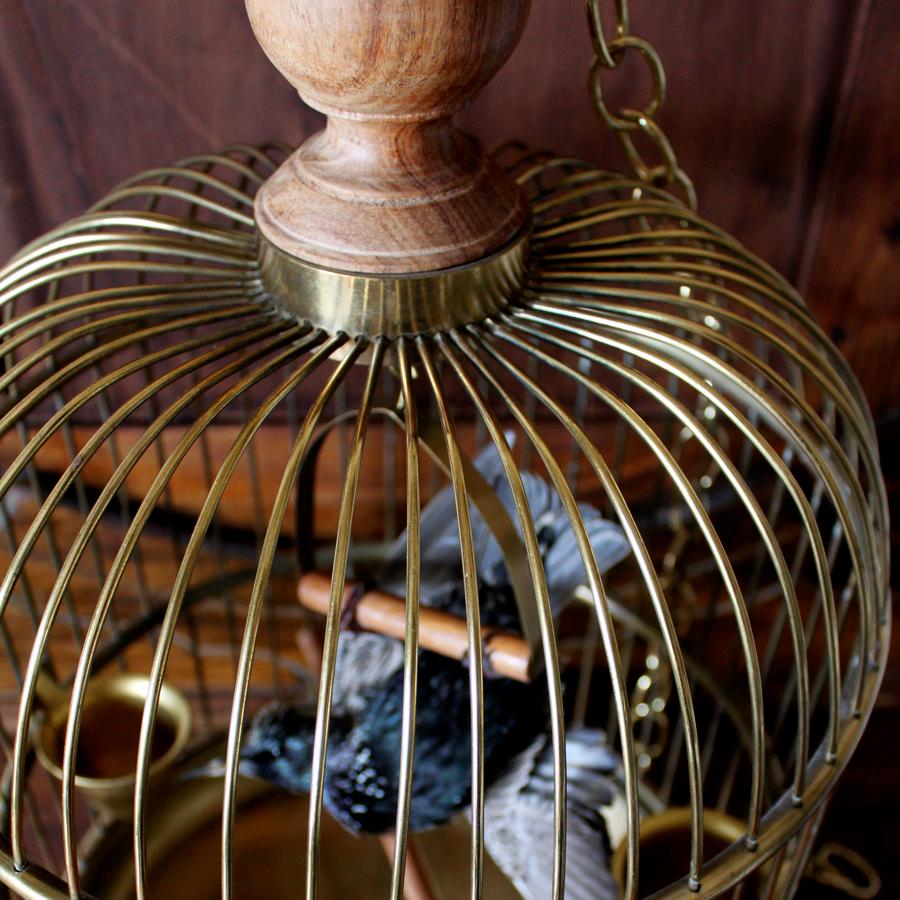 Bird Taxidermy European Starling, Sturnus Vulgaris Antique Brass Birdcage  For Sale 3