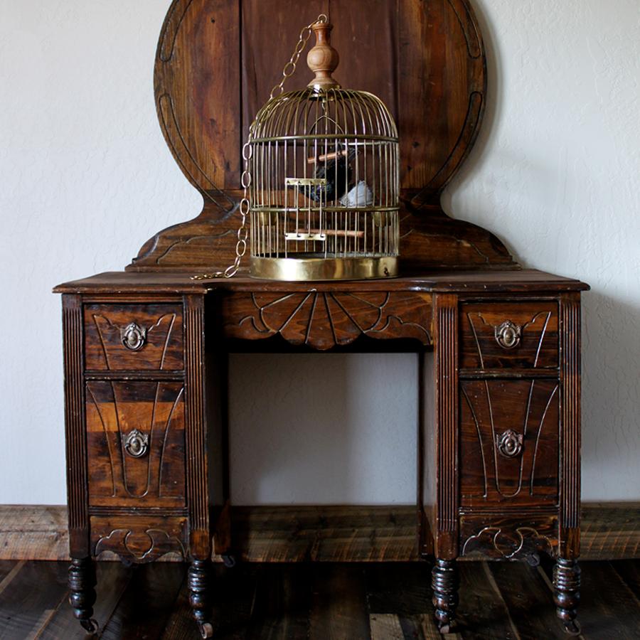 Bird Taxidermy European Starling, Sturnus Vulgaris Antique Brass Birdcage  In Excellent Condition For Sale In Missoula, MT