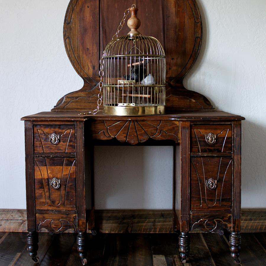 Contemporary Bird Taxidermy European Starling, Sturnus Vulgaris Antique Brass Birdcage  For Sale