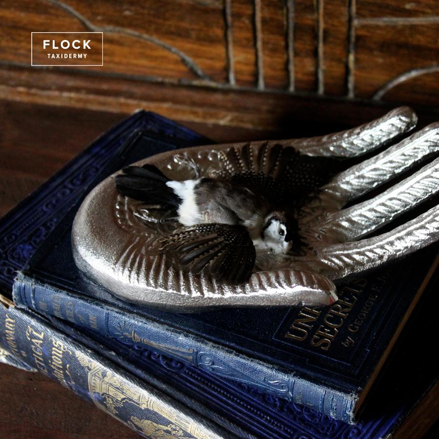 Measures: L 7 in, W 5 in, H 3 in.

The owl finch is a bird of distinctive markings and a social disposition that gives it a character all its own. This masked bird is resting forever in peace, held in the palm of a silver hand.

Note: Books not