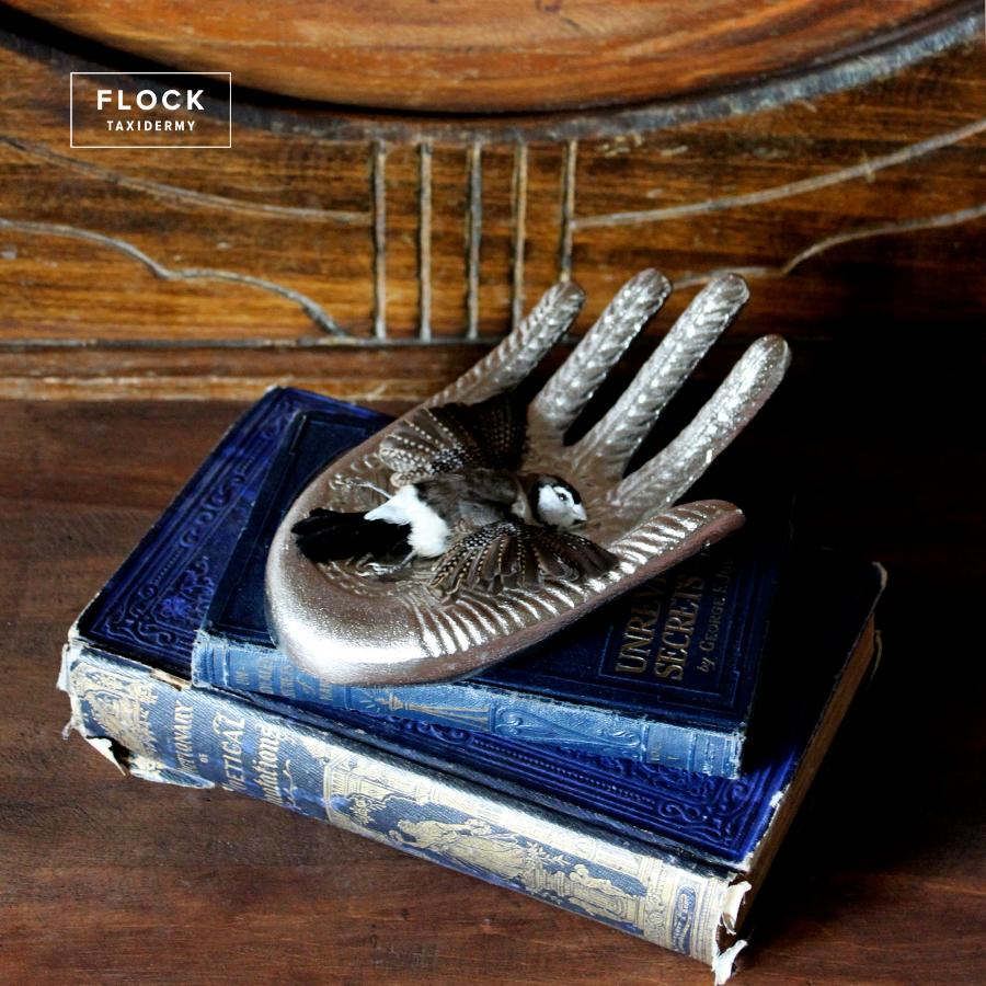 Art Nouveau Bird Taxidermy Owl Finch 'Taeniopygia bichenovii' Silver Hand Sculpture For Sale