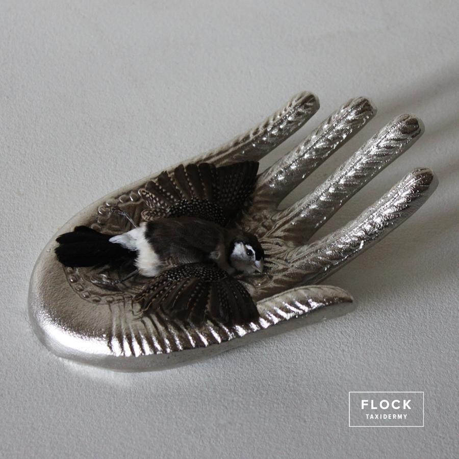 Feathers Bird Taxidermy Owl Finch 'Taeniopygia bichenovii' Silver Hand Sculpture For Sale