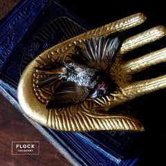 Bird Taxidermy Spice Finch 'Lonchura Punctulata' Gold Hand Sculpture