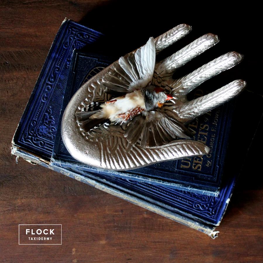 Art Nouveau Bird Taxidermy Zebra Finch, Lonchura Striata Domestica Silver Hand Sculpture  For Sale