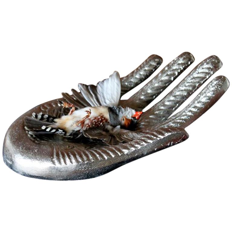 Bird Taxidermy Zebra Finch, Lonchura Striata Domestica Silver Hand Sculpture  For Sale