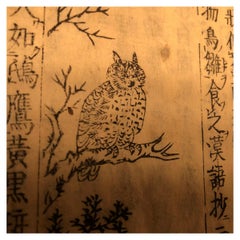Bird Watchers Guide:  Rare Japanese Antique Woodblock Book, 1712