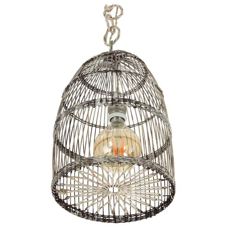 Birdcage Rustic Hanging Light Pendant Lamp at 1stDibs