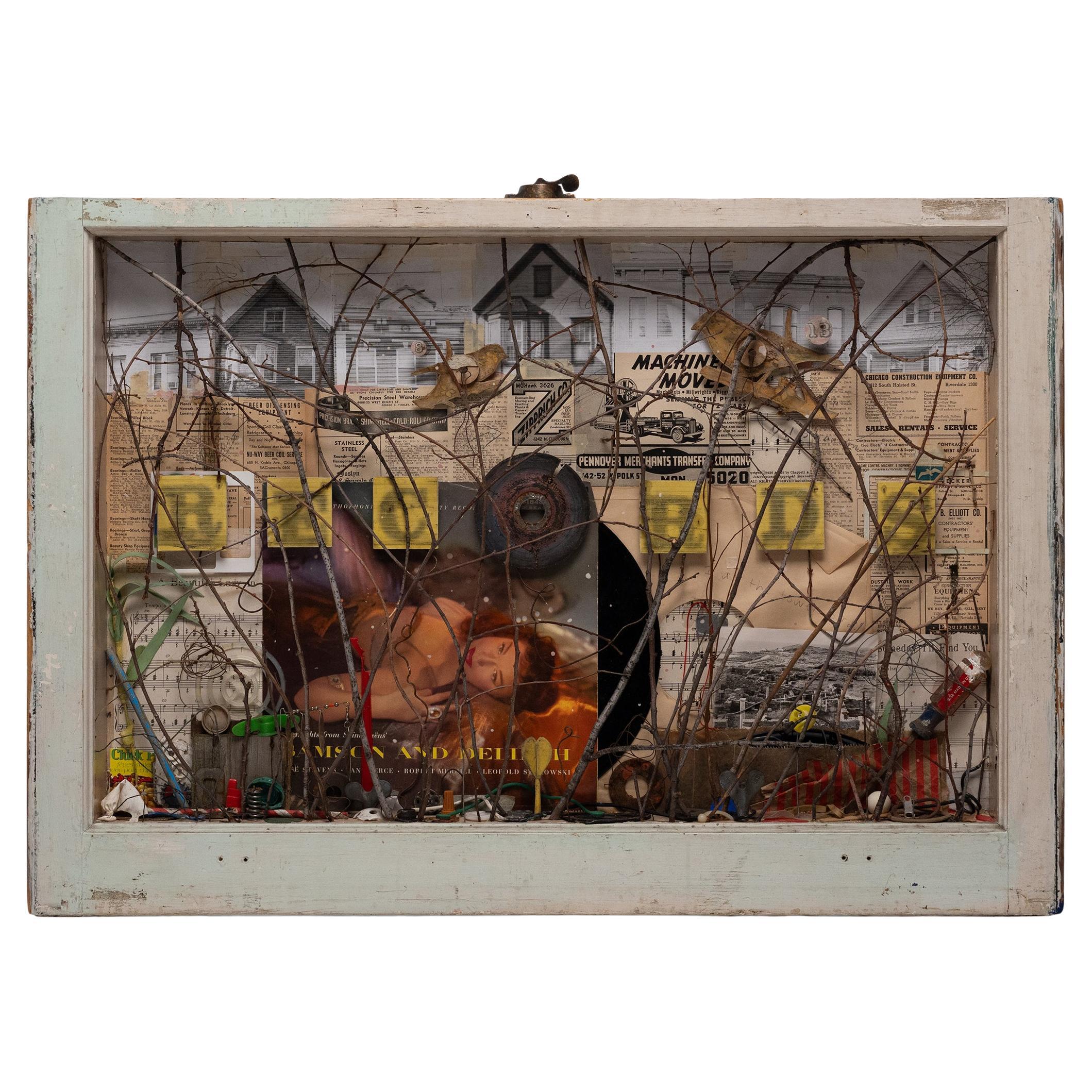"Birdland (I am the Bowerbird)" by Patrick Fitzgerald