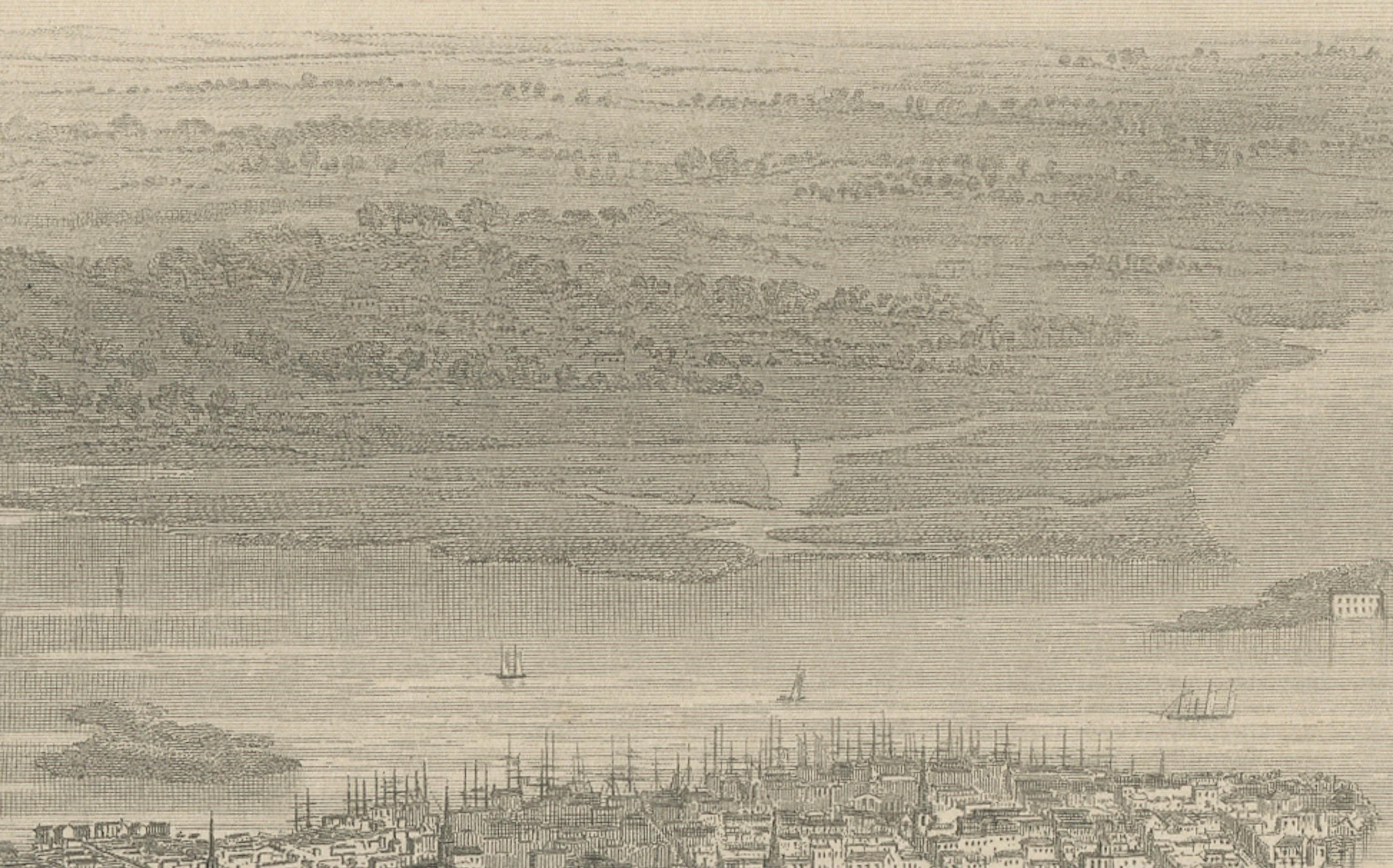Bird’s-Eye View of Charleston, South Carolina – Panoramic City Engraving, 19th C
